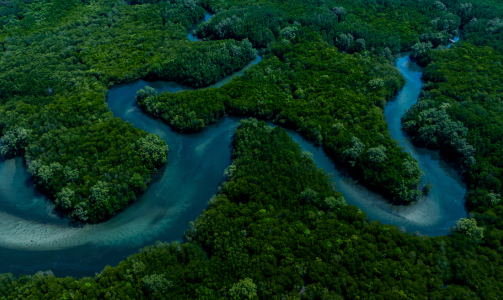 Sustainable Management